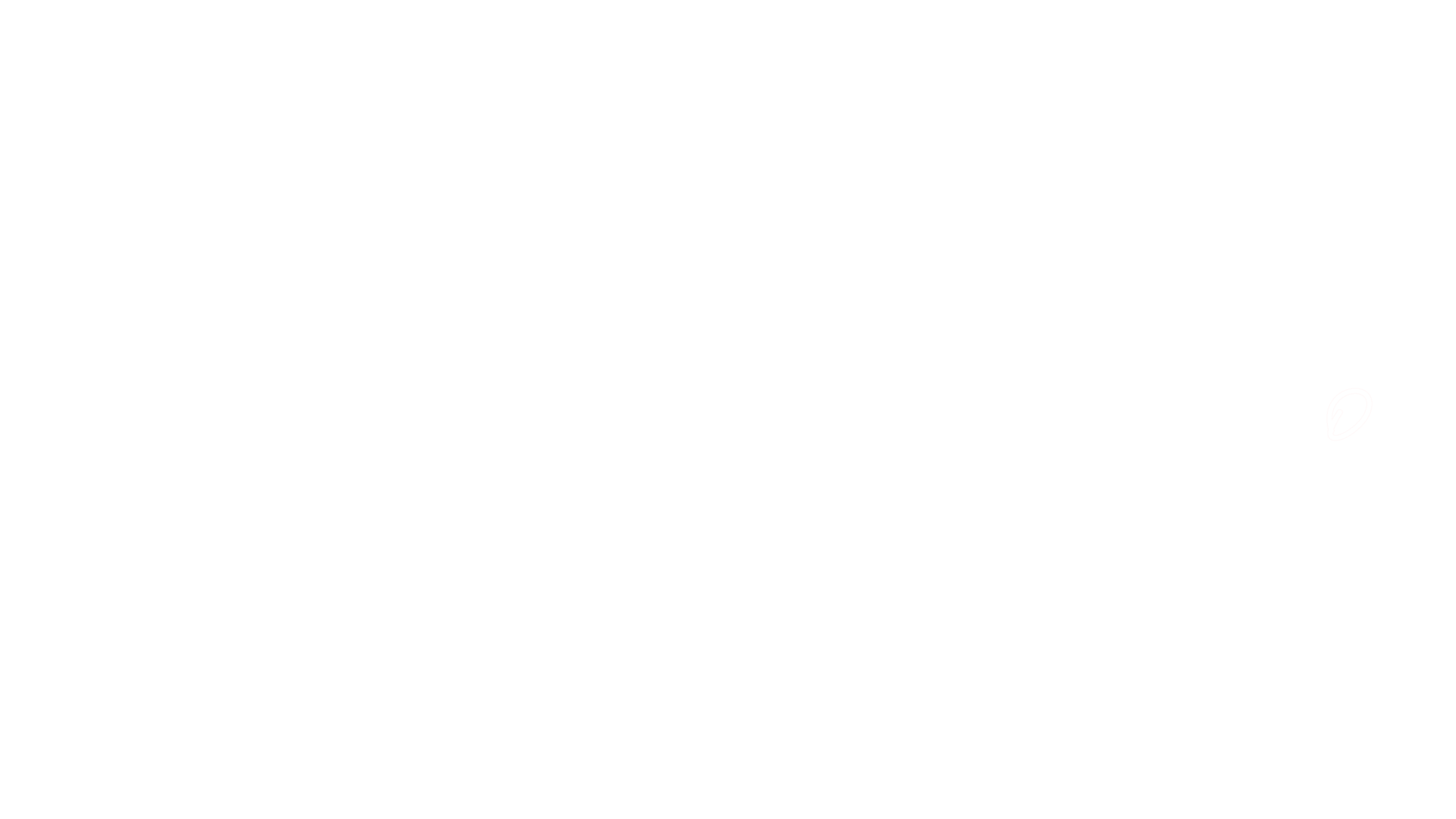 Vandana Studios Logo
